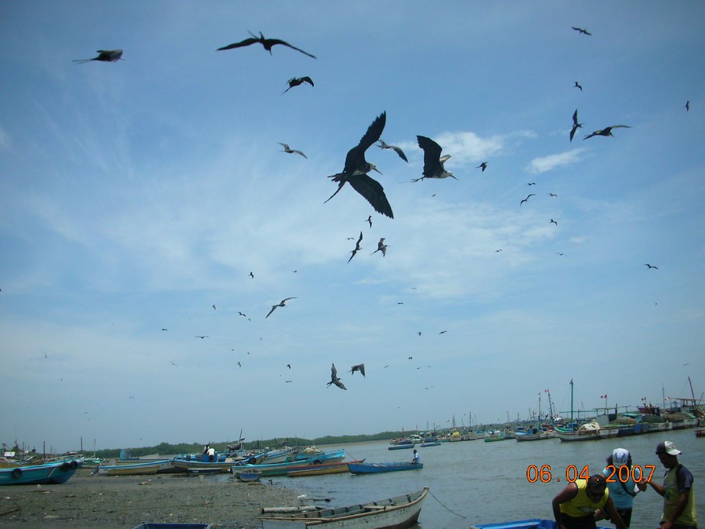 Glamping Tumbes