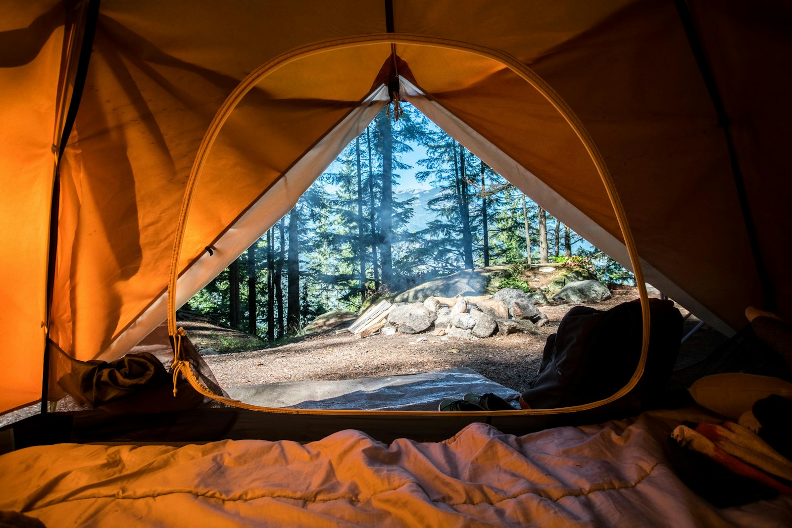 Amazon lodge